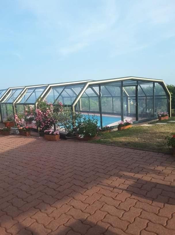 Chambre D'Hotes De La Tulipe Mittelbergheim Eksteriør billede